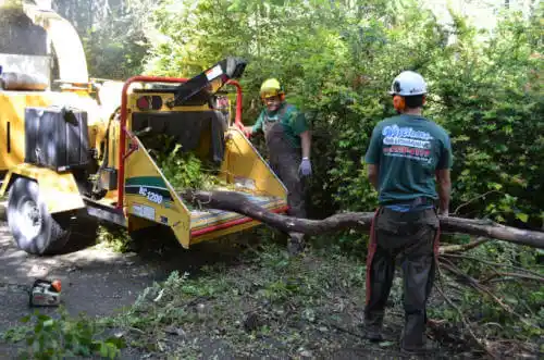 tree services Soledad